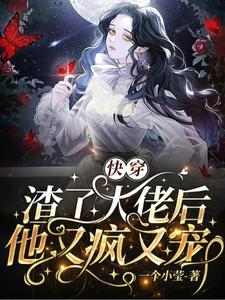 快穿渣了大佬后他又疯又宠车