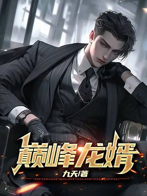 巅峰龙婿视频全集