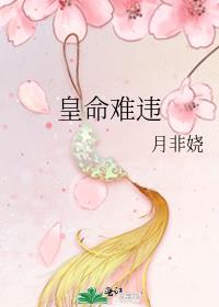 皇命难违丞相公子嫁将军之子