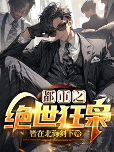 战龙归来 小说