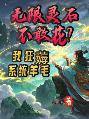 无限灵石怎么用 小说