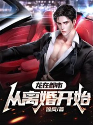 龙在都市:从离婚开始 徐风