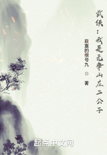 武侠我是无争山庄二公子免费阅读