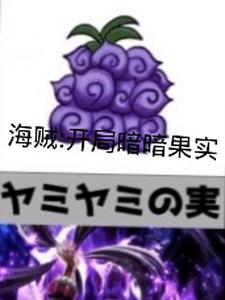 海贼之黑暗果实小说