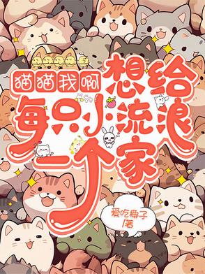 我想给我小猫