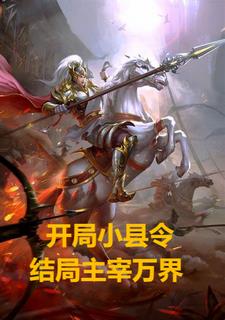 从县令开始做起的历史小说
