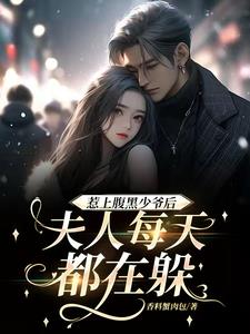 惹上腹黑少爷后,夫人每天都在躲我