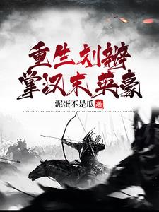 重生刘辩的小说