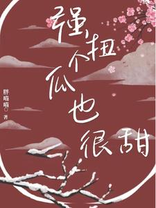 谍父29