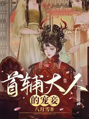 首辅大人的宠妾全文阅读