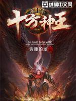十方神王小说