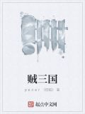 贼三国在线阅读