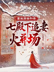 重生后嫁给七王爷