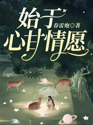 始于心甘情愿,终于愿赌服输的文案