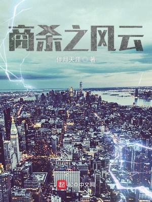 商杀之风云 小说