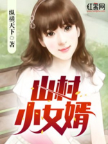 山村小女婿下载