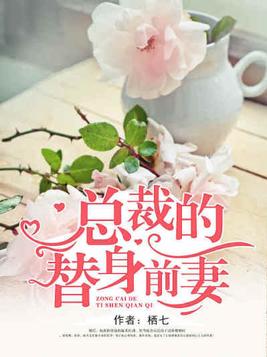 总裁的替身前妻全文免费阅读听书