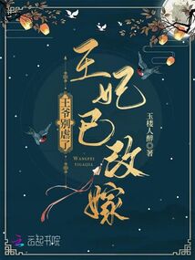 王爷别虐了王妃已改嫁完整版