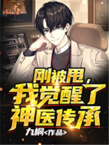 刚被甩,我觉醒了神医传承 小说