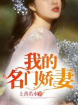 我的名门娇妻龙禹