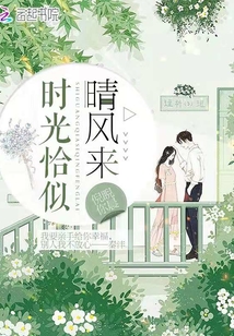 时光恰似晴风来 百度网盘