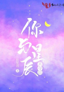 你与星辰共夺目小说免费阅读