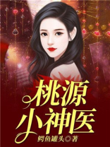桃源小神医叶不朽 小说