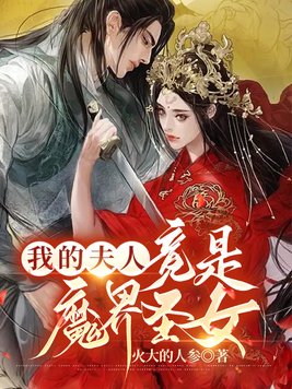 我的夫人竟是魔界圣女小说