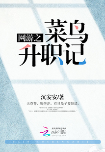 网游之菜鸟升职记 沉安安小说免费阅读全集