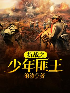 抗战之少年匪王免费阅读无