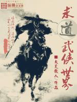 求道武侠世界类似无女主小说