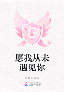 如果这一生从未遇见你