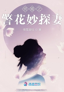 警花探案