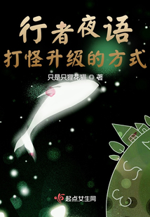 行者夜语:打怪升级的方式