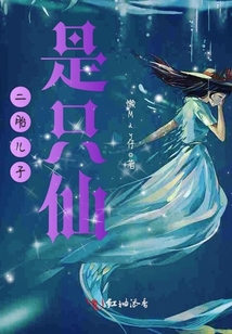 二胎是儿子的孩子
