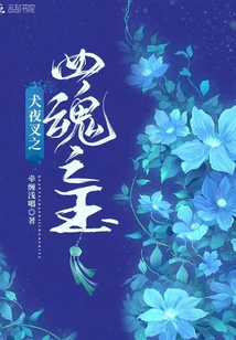 犬夜叉之四魂之玉百度小说