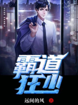 霸道十三少