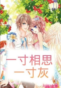 一寸相思一寸灰小说