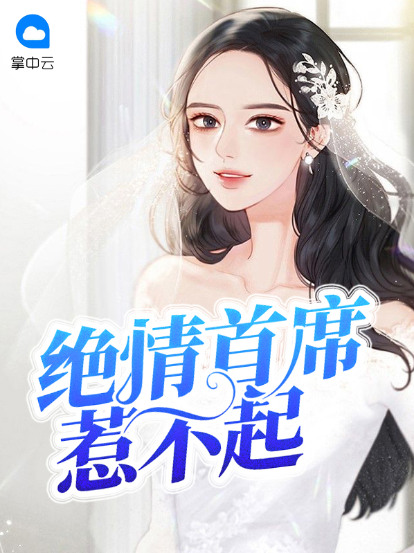 首席惹不起 四喜丸子