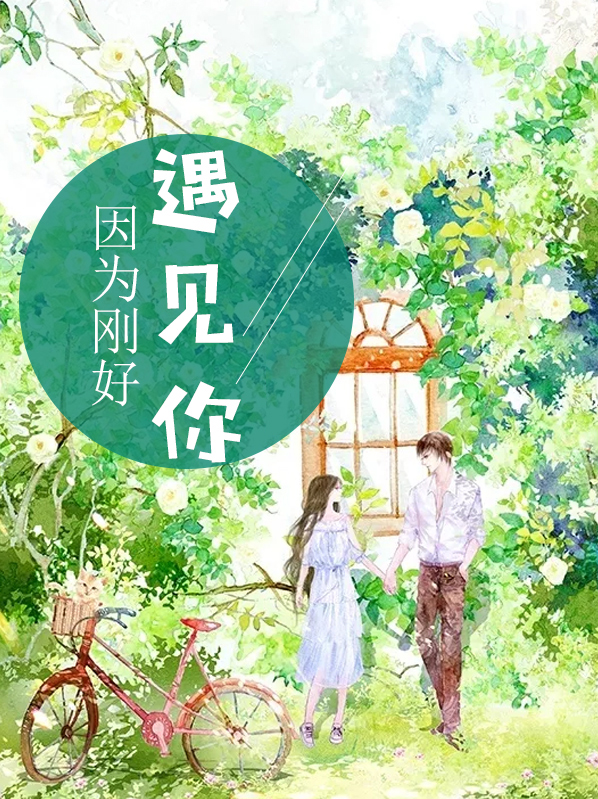 因为刚好遇见你歌词
