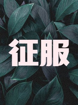 征服之刃下载