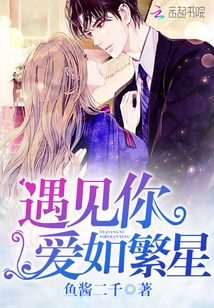爱如繁星简介