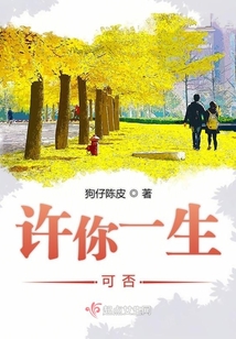 许你一生歌词