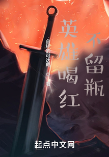 英雄喝红不留瓶小说