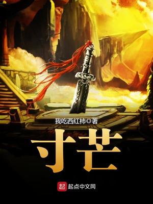 寸芒小说免费阅读全文