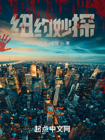 纽约警探