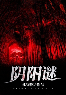 阴阳谜小说