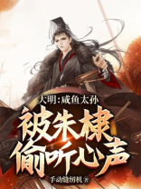 大明太孙小说