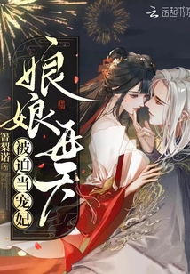 娘娘每天被迫当宠妃TXT百度云盘