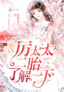 沈太太二胎了解一下主角
